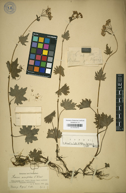 LE 01018170