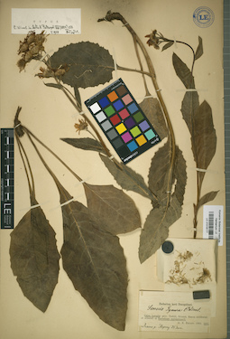 LE 01018177