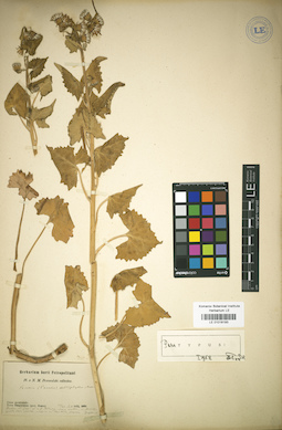 LE 01018193