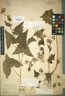 LE 01018194