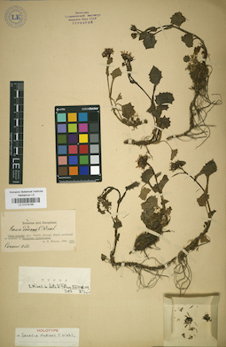 LE 01018195