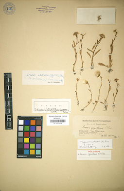LE 01018196