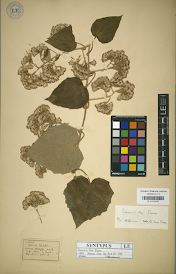 LE 01018197