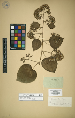 LE 01018198