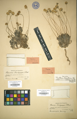 LE 01018231