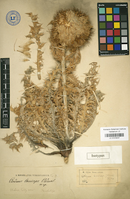 LE 01018237