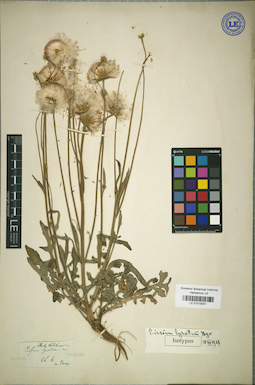 LE 01018251