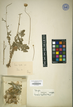 LE 01018253