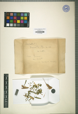 LE 01018260
