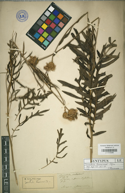 LE 01018268
