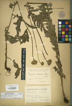 LE 01018269
