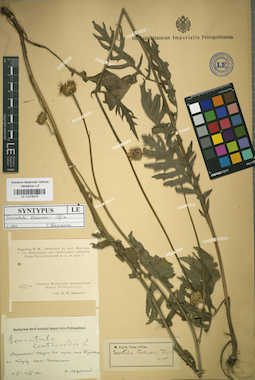 LE 01018270