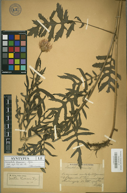 LE 01018271