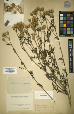 LE 01018272