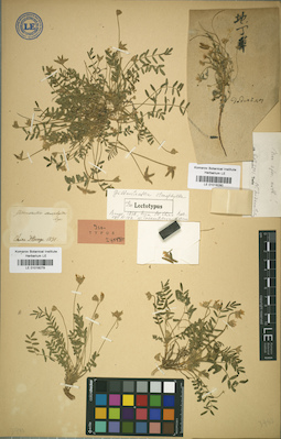 LE 01018280