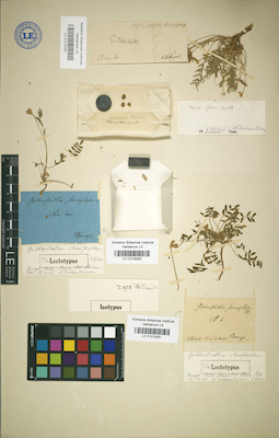LE 01018282