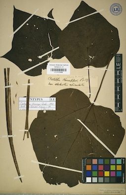LE 01018388