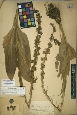 LE 01018401