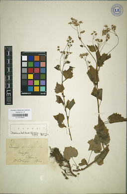 LE 01018404