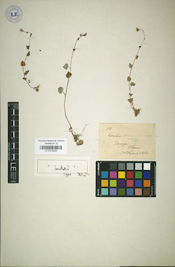 LE 01018405