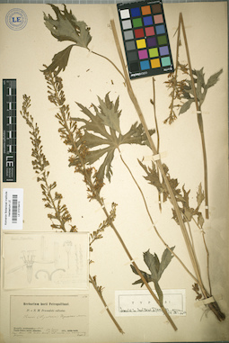 LE 01018410