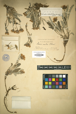 LE 01018412