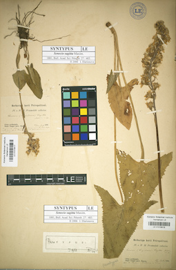 LE 01018418