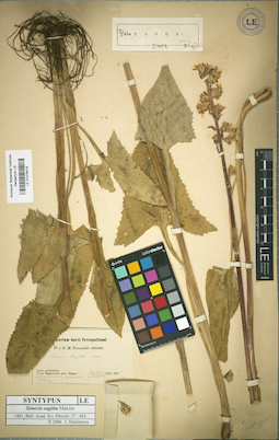 LE 01018419