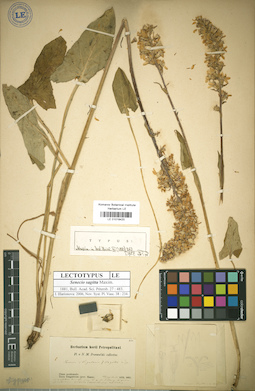 LE 01018420
