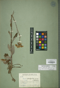 LE 01018429