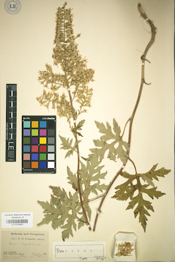 LE 01018433