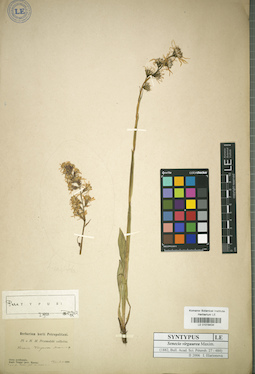 LE 01018434