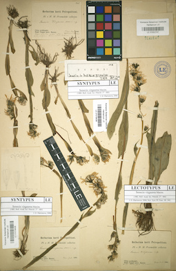 LE 01018436