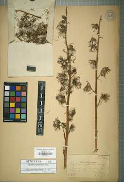 LE 01018442