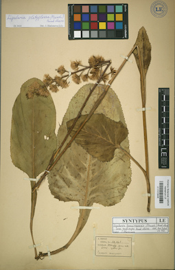 LE 01018446