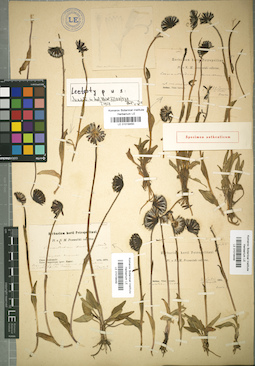 LE 01018449