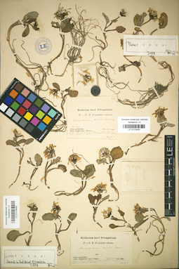 LE 01018455