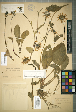 LE 01018459