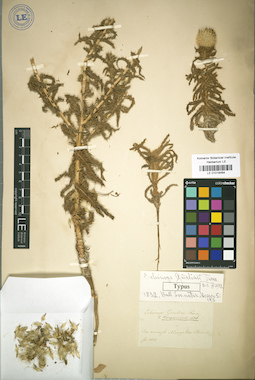 LE 01018464