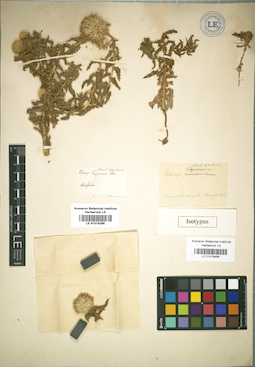 LE 01018466