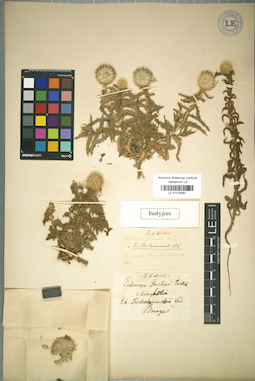 LE 01018467