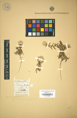 LE 01018469