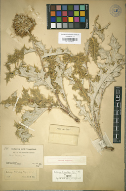 LE 01018471