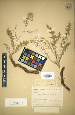 LE 01018472