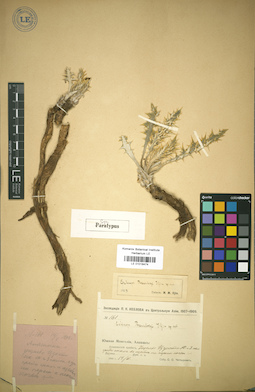 LE 01018474