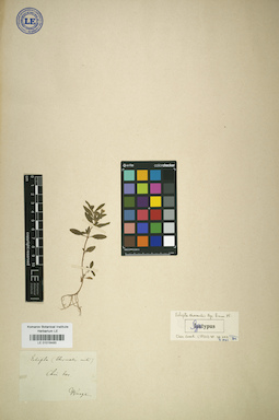 LE 01018485