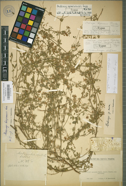 LE 01024134