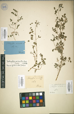 LE 01024146