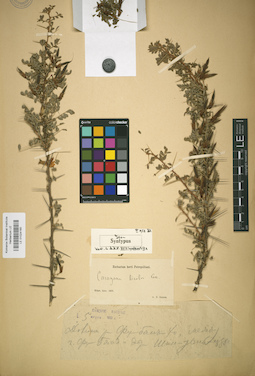 LE 01024160
