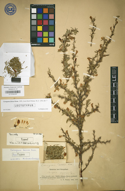 LE 01024187
